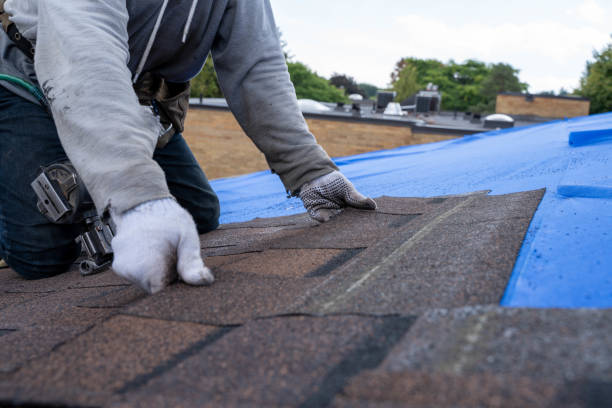 Best Roof Maintenance Services  in Cordova, AK