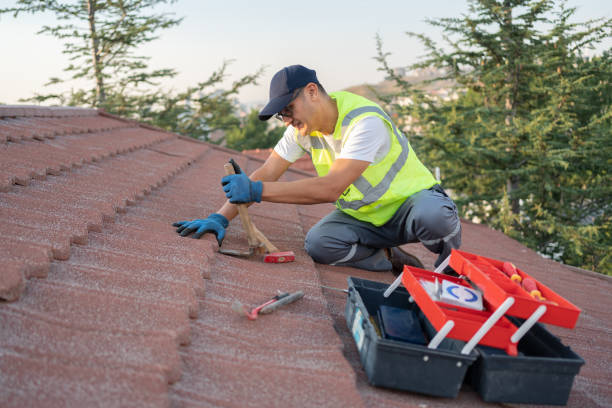 Best Sealant for Roof  in Cordova, AK