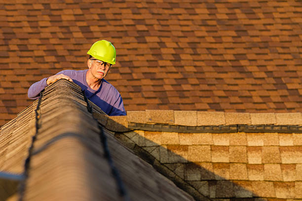 Best Roof Repair Services  in Cordova, AK