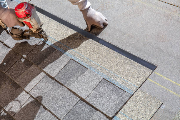 Best Metal Roofing Contractor  in Cordova, AK