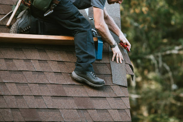 Best Roof Maintenance Services  in Cordova, AK