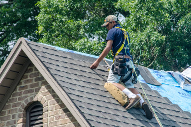 Best New Roof Installation  in Cordova, AK